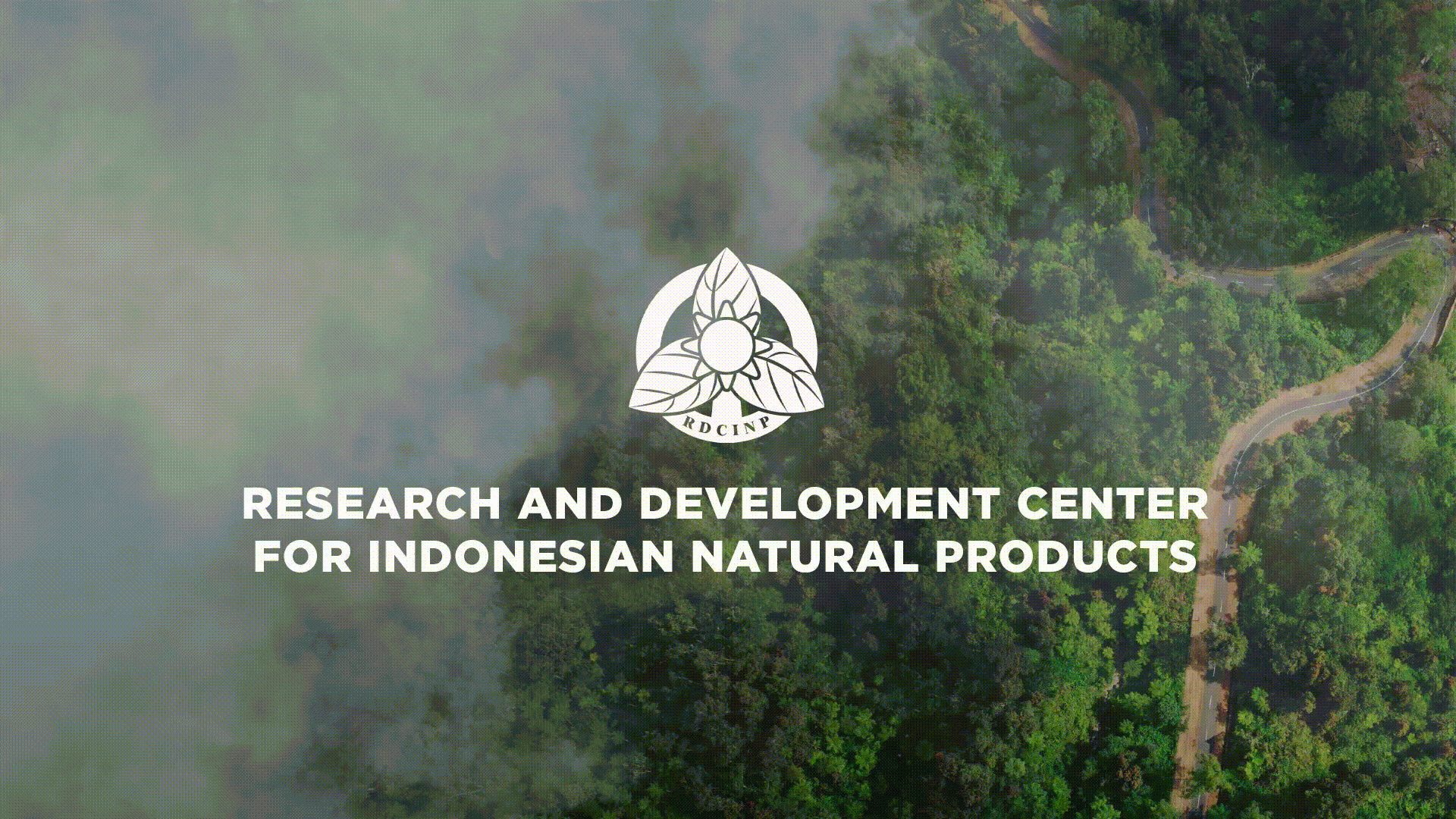 Research Information